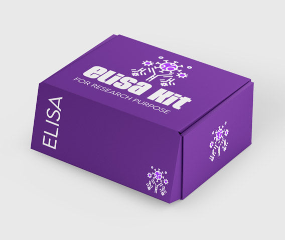 Canine beta-bone collagen cross-linking (Beta-CTX)ELISA kit Canine beta-bone collagen cross-linking (Beta-CTX)ELISA kit